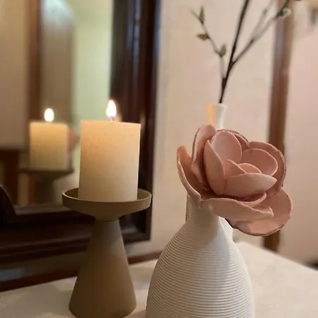 Casa Parsa 公寓
